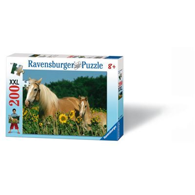 Spiel 5072.0